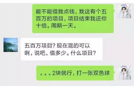 柳林为什么选择专业追讨公司来处理您的债务纠纷？